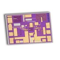 RF Amplifier