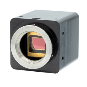 Owl 640 M Image