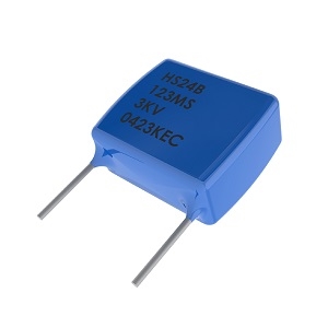 Space Qualified Capacitor