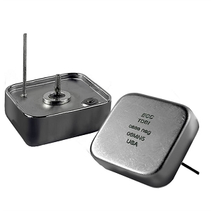 Space Qualified Capacitor