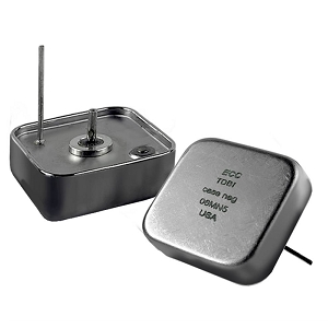 Space Qualified Capacitor
