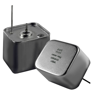 Space Qualified Capacitor
