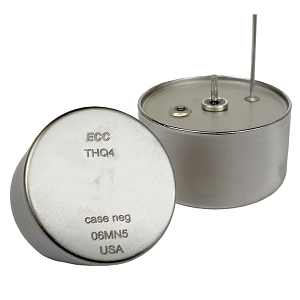 Space Qualified Capacitor