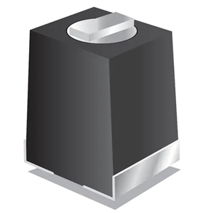 S31002-NT-G-J Image