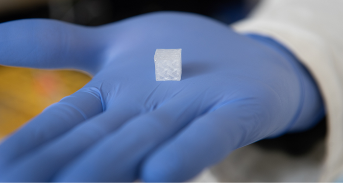International Space Station Research Advances 3D Bioprinting for Artificial Livers