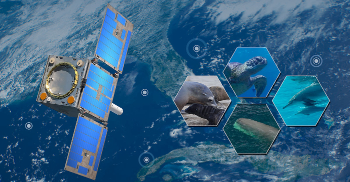 General Atomics GAzelle Satellite Successfully Completes Post Launch Acceptance Review