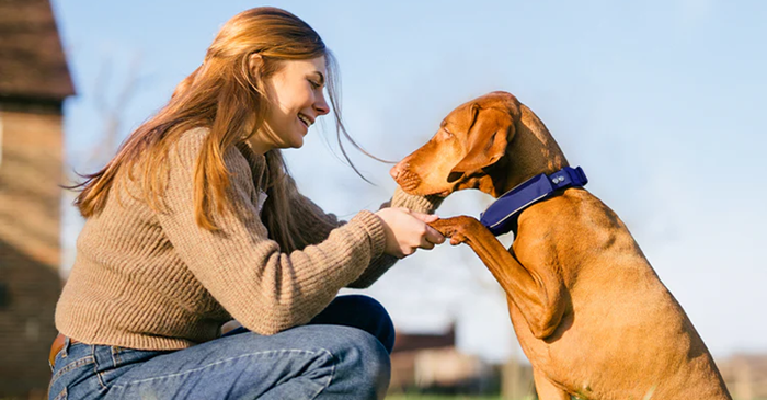 SATELLAI Unveils Collar Go with AI Health Monitoring and Satellite Tracking at IFA Berlin